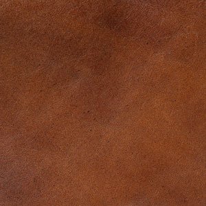 Brown Leather