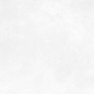 White Leather
